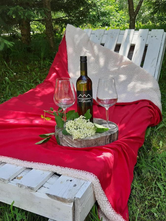 Studio Alpika Villa Luče Екстериор снимка