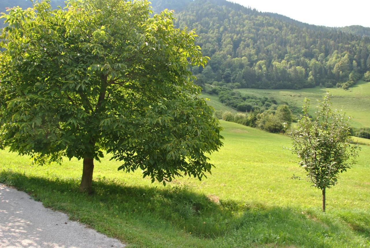 Studio Alpika Villa Luče Екстериор снимка