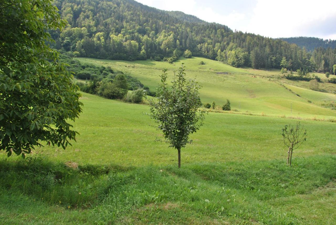 Studio Alpika Villa Luče Екстериор снимка